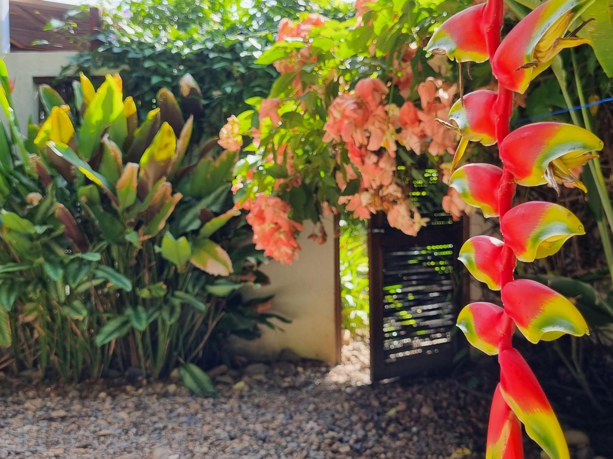 Casas La Floristeria Villa Palomino Bagian luar foto